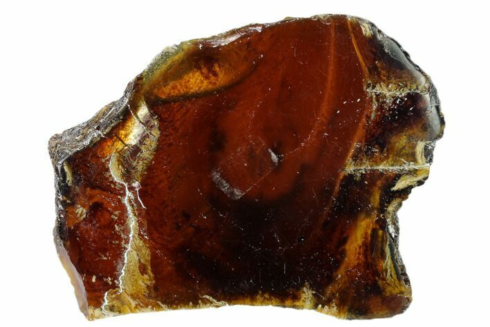 Polished Blue Indonesian Amber - West Java, Indonesia #162547